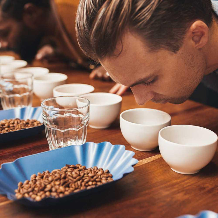 How to Use a Coffee Tasting Notebook