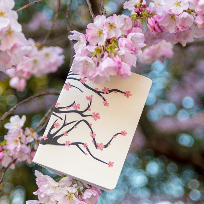 Spring 2018 - Sakura Limited Edition